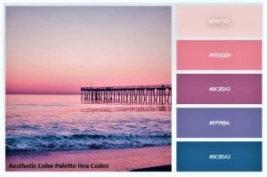 Aesthetic Color Palette Hex Codes