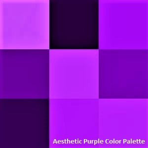 Aesthetic Purple Color Palette