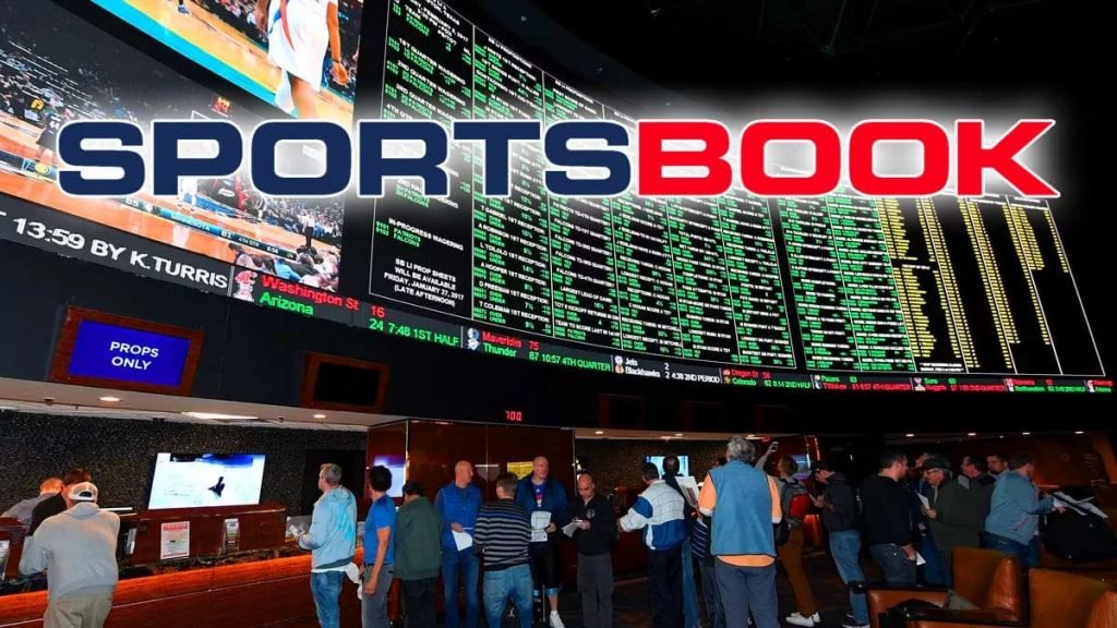 Important things to look for before choosing your sportsbook